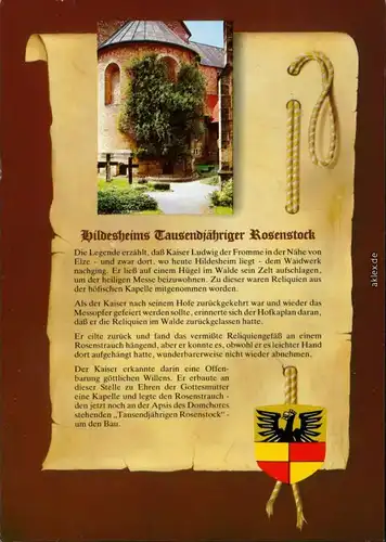 Ansichtskarte Hildesheim 1000 Jähriger Rosentock am Dom 1995