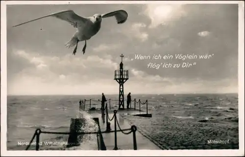 Wilhelmshaven Molenkopf mit Möwe: Wenn ich ein Vöglein wär 1932