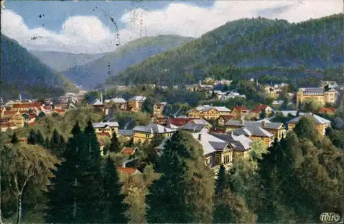 Ansichtskarte Friedrichroda Blick auf die Stadt Künstlerkarte 1920 