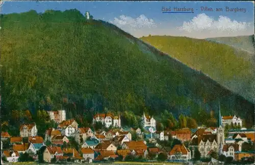 Ansichtskarte Bad Harzburg Villen am Burgberg 1922 