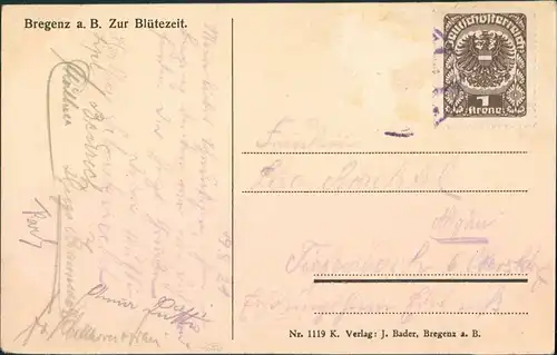 Ansichtskarte Bregenz Stadt zur Blütezeit 1921 