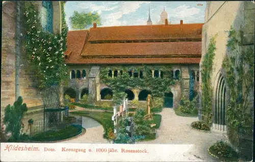 Ansichtskarte Hildesheim Dom - Kreuzgang u. 1000 jähr. Rosenstock 1900