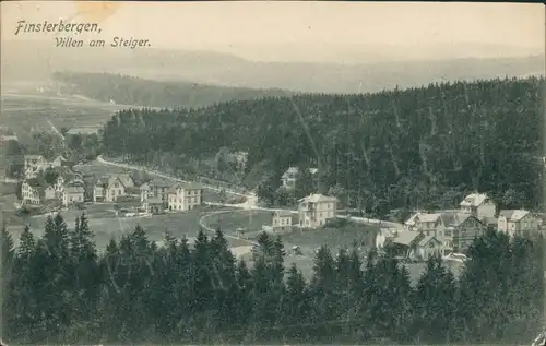 Ansichtskarte Finsterbergen-Friedrichroda Villen am Steiger 1906
