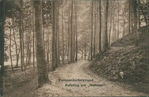 Ansichtskarte Timmendorfer Strand Aufstieg zur Kammer 1919 