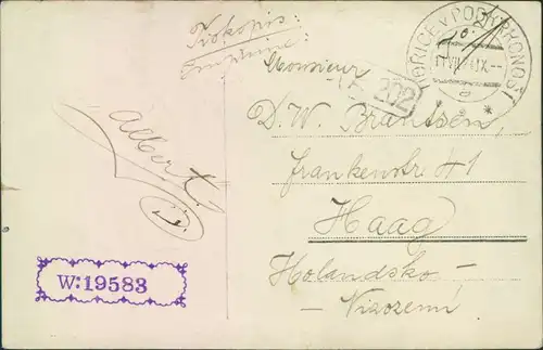 Postcard Horschitz Hořice v Podkrkonoší PARTIE Z RIEGROVY STEZKY 1924