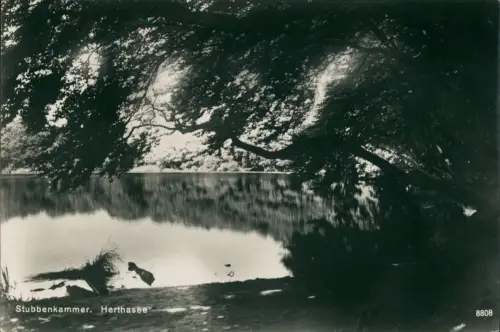 Ansichtskarte Stubbenkammer-Sassnitz Saßnitz Herthasee 1929