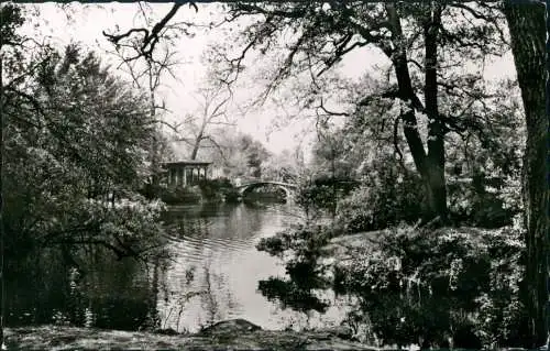 Ansichtskarte Tiergarten-Berlin Zoologischer Garten - am Neptunteich 1970