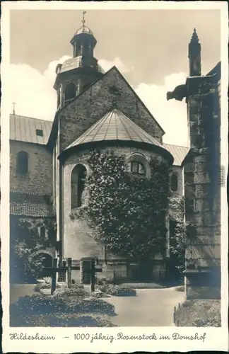 Ansichtskarte Hildesheim 1000 jährige Rosenstock im Domshof 1932