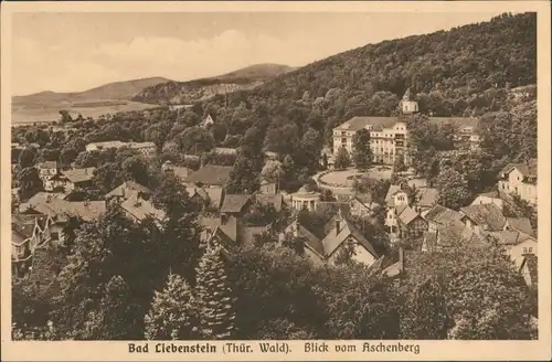 Ansichtskarte Bad Liebenstein Blick vom Aschenberg auf den Ort 1918