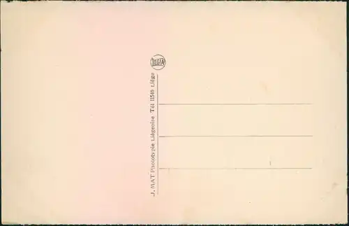 Postkaart Esneux Esneu Point de vue de Hamay 1924