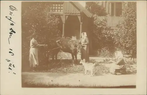 Foto  drei Frauen mit Kuh und Hund vor Haus 1921 Privatfoto 