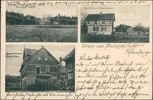 Ansichtskarte Duingen 3 Bild: Wald, Forsthaus, Geschäftshaus 1907 