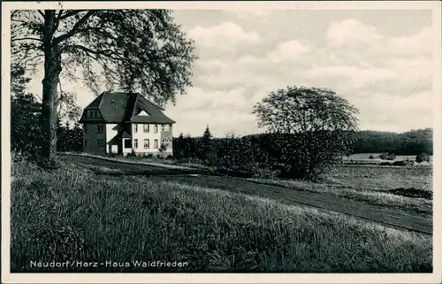Ansichtskarte Neudorf (Harz) Partie am Haus Waldfrieden 1936 