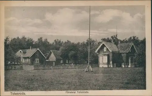 Ansichtskarte Thale (Harz) Partie an der Försterei Totenrode 1924 