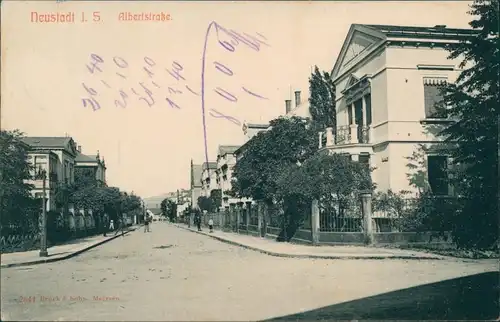 Ansichtskarte Neustadt (Sachsen) Partie in der Albertstrasse 1913 