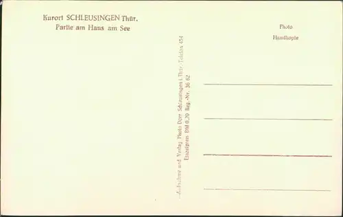 Ansichtskarte Schleusingen Partie am Haus am See 1929