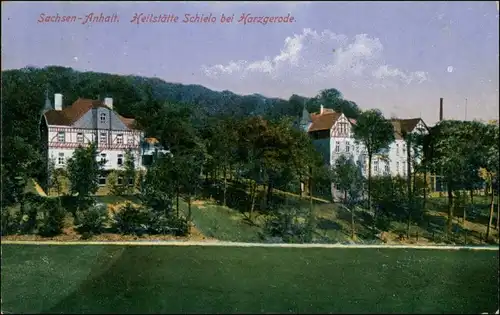 Ansichtskarte Schielo-Harzgerode Partie an der Heilstätte - Schielo 1919 