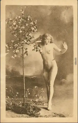 Ansichtskarte  junge Frau am Bäumchen Erotik Erotika Nude 1920
