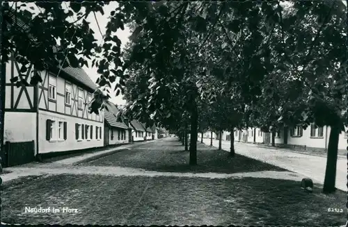 Ansichtskarte Neudorf (Harz) Dorfpartie 1966