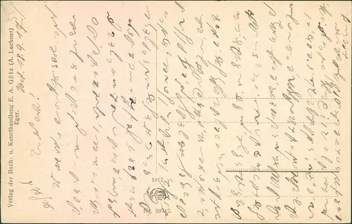 Postcard Eger Cheb Insel Mühlerl 1917 