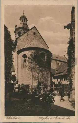 Ansichtskarte Hildesheim Kirche 100 Jähriger Rosenstock 1928 