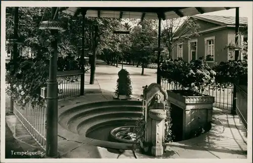 Ansichtskarte Bad Steben Kuranlagen - Tempelquelle 1932