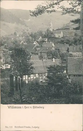 Ansichtskarte Wildemann (Innerstetal) Blick auf die Stadt 1900
