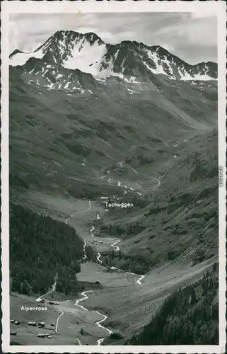 Davos Panorama-Ansicht - Flüelatal mit Alpenrose - Tschuggen u. Flüela - Weisshorn 1932