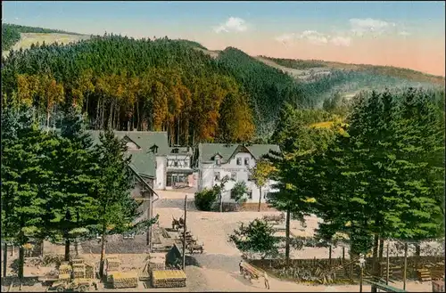 Schmiedeberg (Erzgebirge)-Dippoldiswalde Buschmühle - Holzstapel 1908