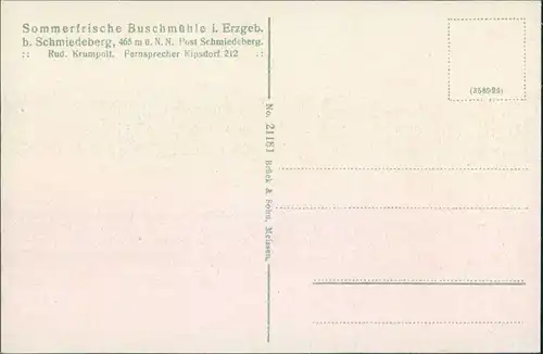 Schmiedeberg (Erzgebirge)-Dippoldiswalde Buschmühle - Holzstapel 1908