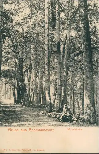 Ansichtskarte Schmannewitz-Dahlen Moosbänke im Wald, Wanderer 1900