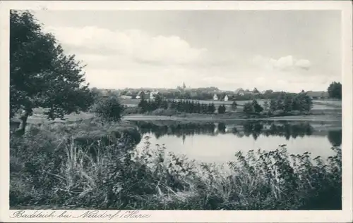 Ansichtskarte Neudorf (Harz) Panorama-Ansicht - Badeteich 1932