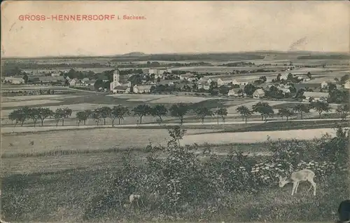 Großhennersdorf-Herrnhut Panorama-Ansicht mit dem Ort und Reh-Kitz 1912