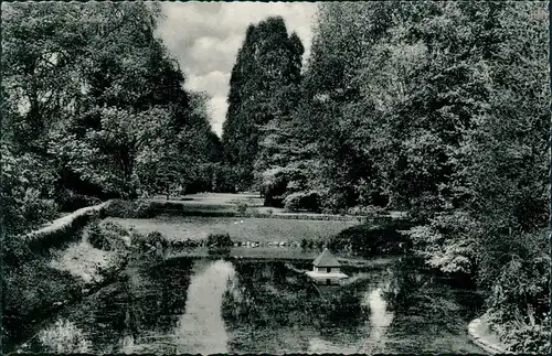 Ansichtskarte Alfeld (Leine) Park mit Teich 1965 