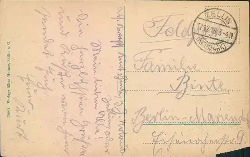Postcard Zellin Czelin Gesamtansicht 1918