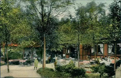 Ansichtskarte Hain-Oybin Forsthaus Hain 1909 