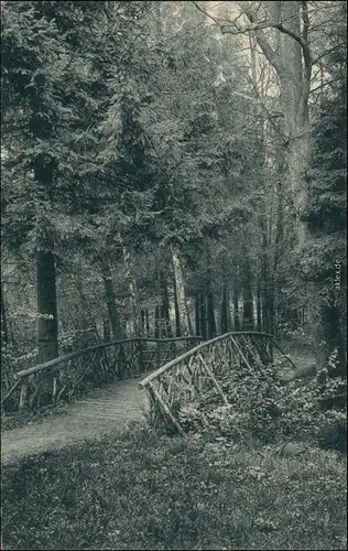 Großschweidnitz (OL) Swóńca Kgl. Landesanstalt - Park 1915 