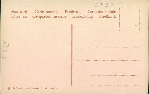 Ansichtskarte Braubach Blick auf den Ort mit Marksburg 1906