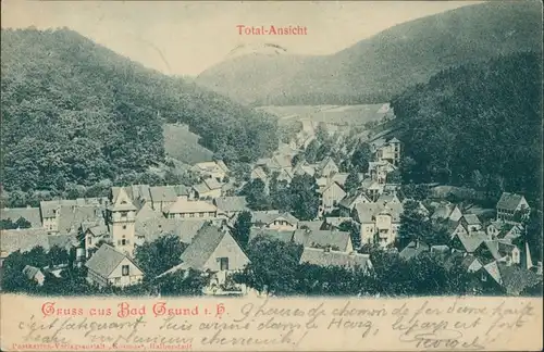Ansichtskarte Bad Grund (Harz) Blick auf die Stadt 1901 