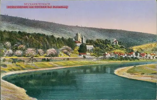 Ansichtskarte Neckarsteinach Blick auf die Stadt 1912 