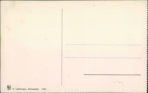 Ansichtskarte Rübeland Dorfpartie 1907 