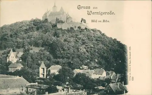 Ansichtskarte Wernigerode Stadtpartie 1906 