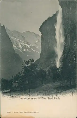 Ansichtskarte Lauterbrunnen Weinreben - Der Staubbach 1908 