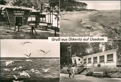 Ückeritz (Usedom) Fischerhütte - Strandklause, Möwen, Strand 1974