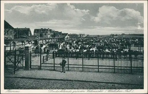 Ansichtskarte Husum Viehmarkt 1928