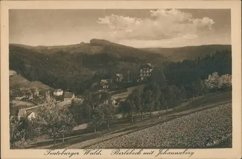 Ansichtskarte Berlebeck-Detmold Teuteburger Wald mit Johannaberg 1913 