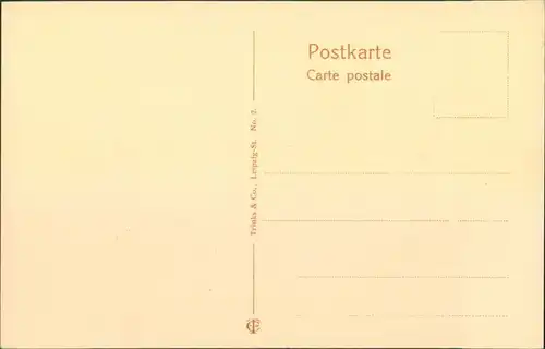 Ansichtskarte Friedrichroda Villen am Gottlob (coloriert) 1909 