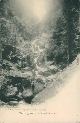 Ansichtskarte Wernigerode Partie an der Steinernen Renne 1904 