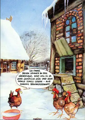 Ansichtskarte  Humor - Hühner im Winter vor Stall 2000