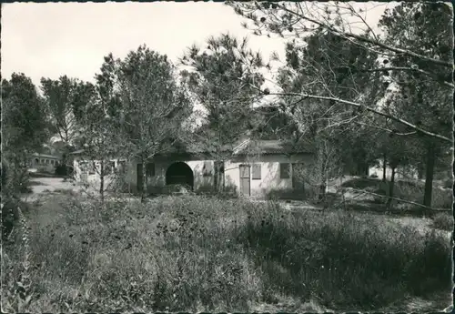 CPA Boulouris-Saint-Raphaël Souvenir de Bolouris, Cote D'Azur 1962